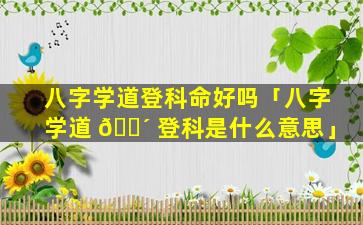 八字学道登科命好吗「八字学道 🌴 登科是什么意思」